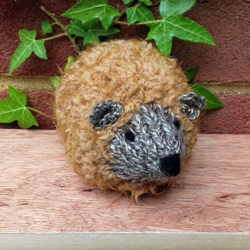 HedgeHUG - Chocolate Orange Cover