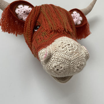 Heather the African flower highland cow head
