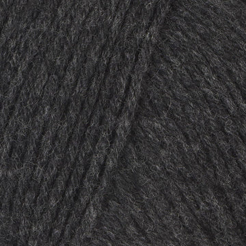 Charcoal (200153)