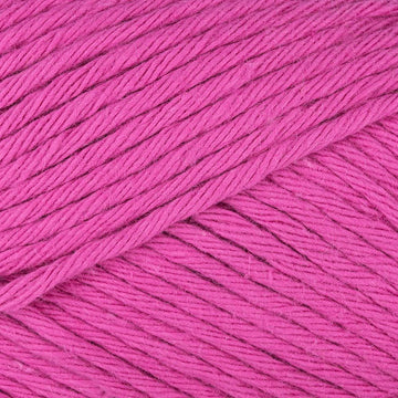 Fuchsia (049)