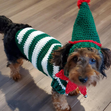 Elf Dog Sweater