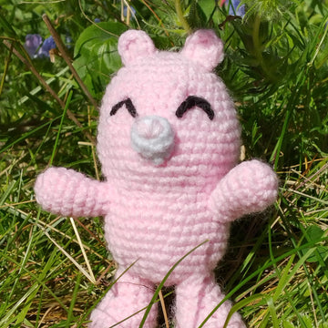 Baby Dragon's Hug Bear