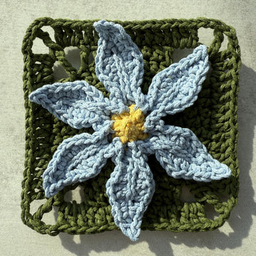 Stiff Blue-eyed Grass Flower Granny Square