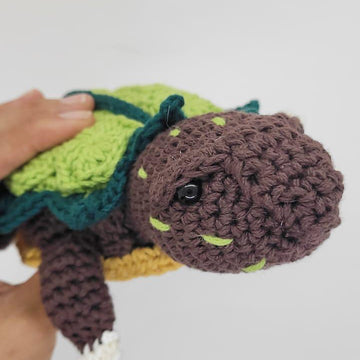 Geo the black-breasted leaf turtle