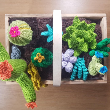 Crochet Cacti