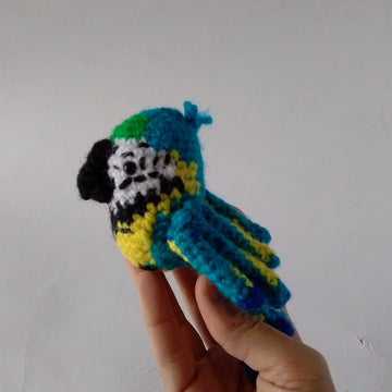 Birds Macaw