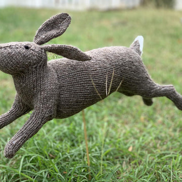 McGregor's Rabbit