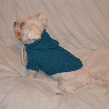 Sport hoodie clothes for dog