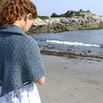 Aleida Shawl