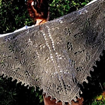 Intriguing Shawl