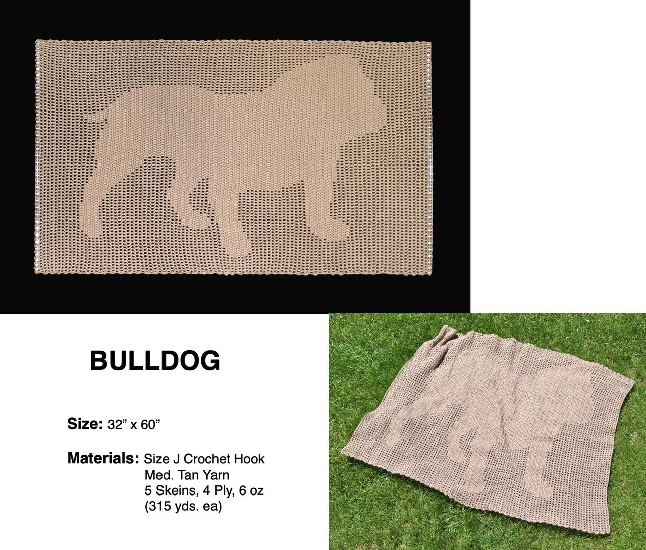 Bulldog Afghan