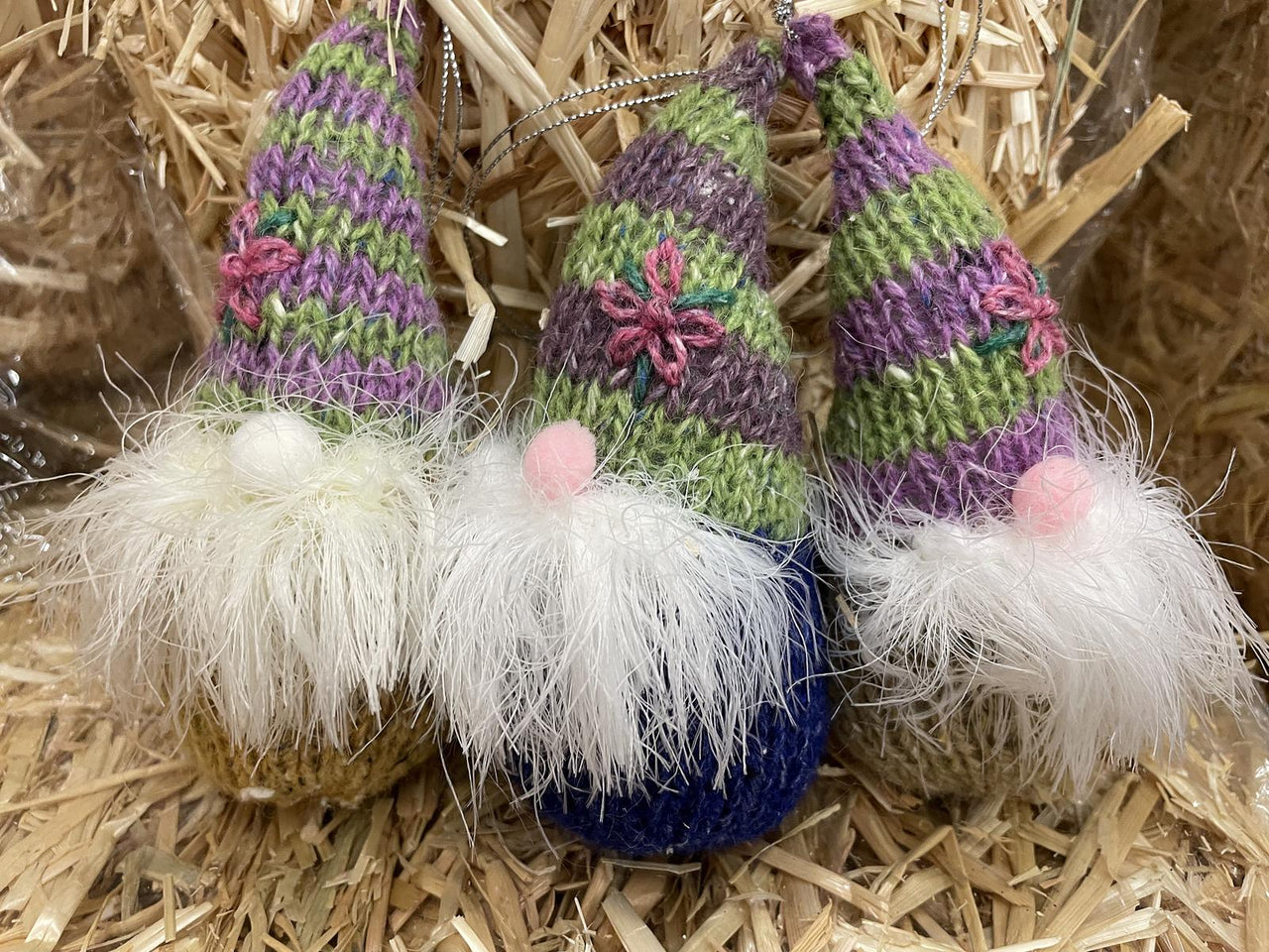 Nicky's Gnomes