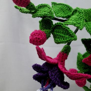 Fuchsia Flower