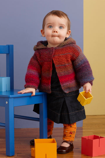 Colorplay Hoodie in Lion Brand Amazing - 90307AD