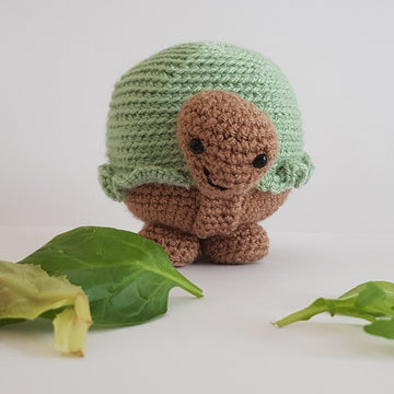 Trevor the Tortoise