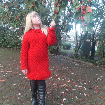 Festive Sweater Dress