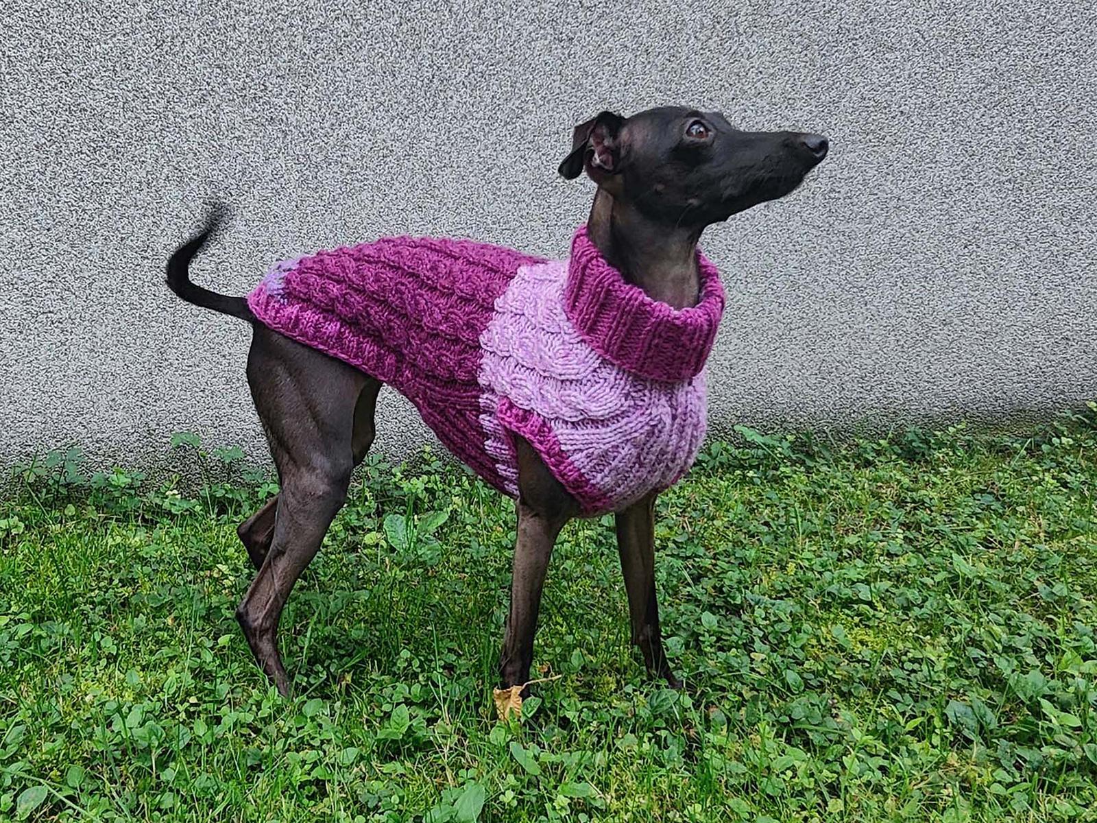 Dog Sweater NIKKI CABLE