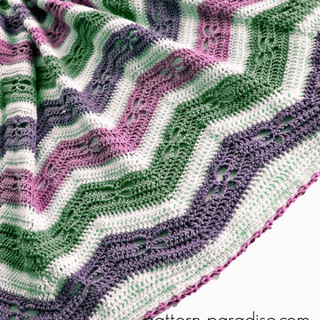 Dragonfly Chevron Blanket