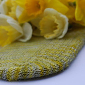 Muddy Daffodils