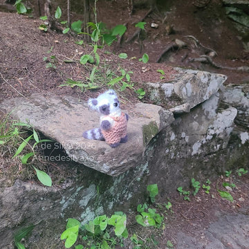 Remy the Raccoon