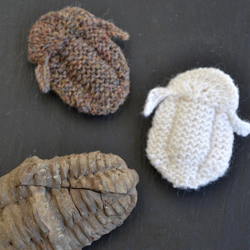 Trilobite