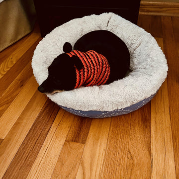 Pet Calming Hood with Ears