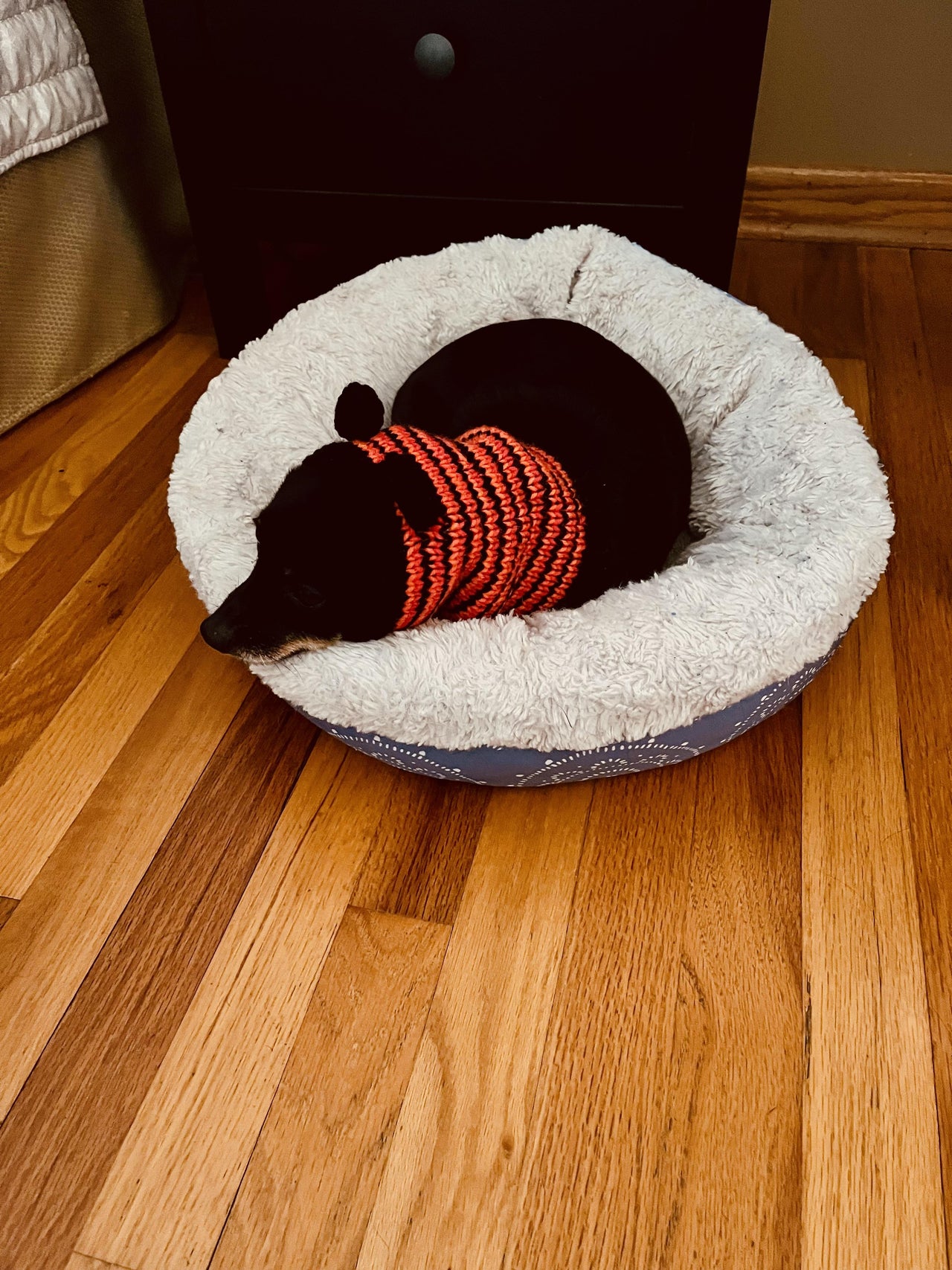 Pet Calming Hood with Ears