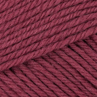 Rose Hip (3091)