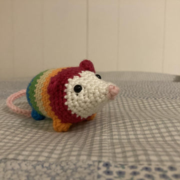 Awesome Pocket Opossum