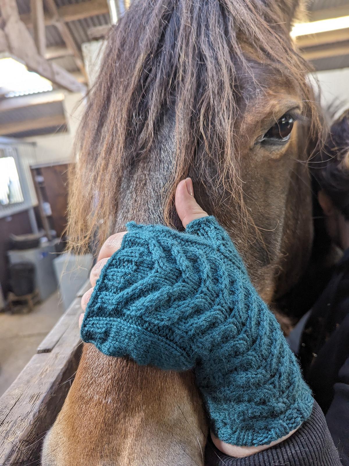 Symmetrical Stag Fingerless Gloves