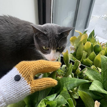Sleeping Goose Mittens