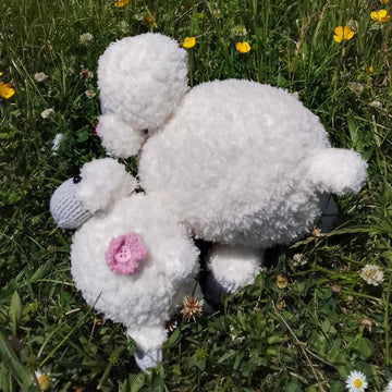 Rosie and Clover