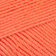 Rich Coral (410)