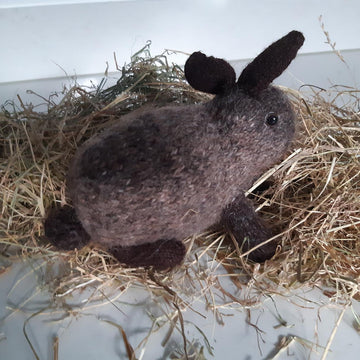 House rabbit Pert