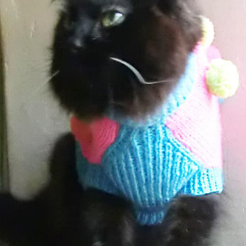 Jester Dog Coat