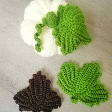 Pumpkin Leaves