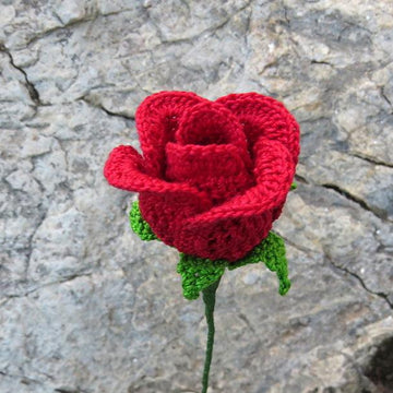 Rose bud