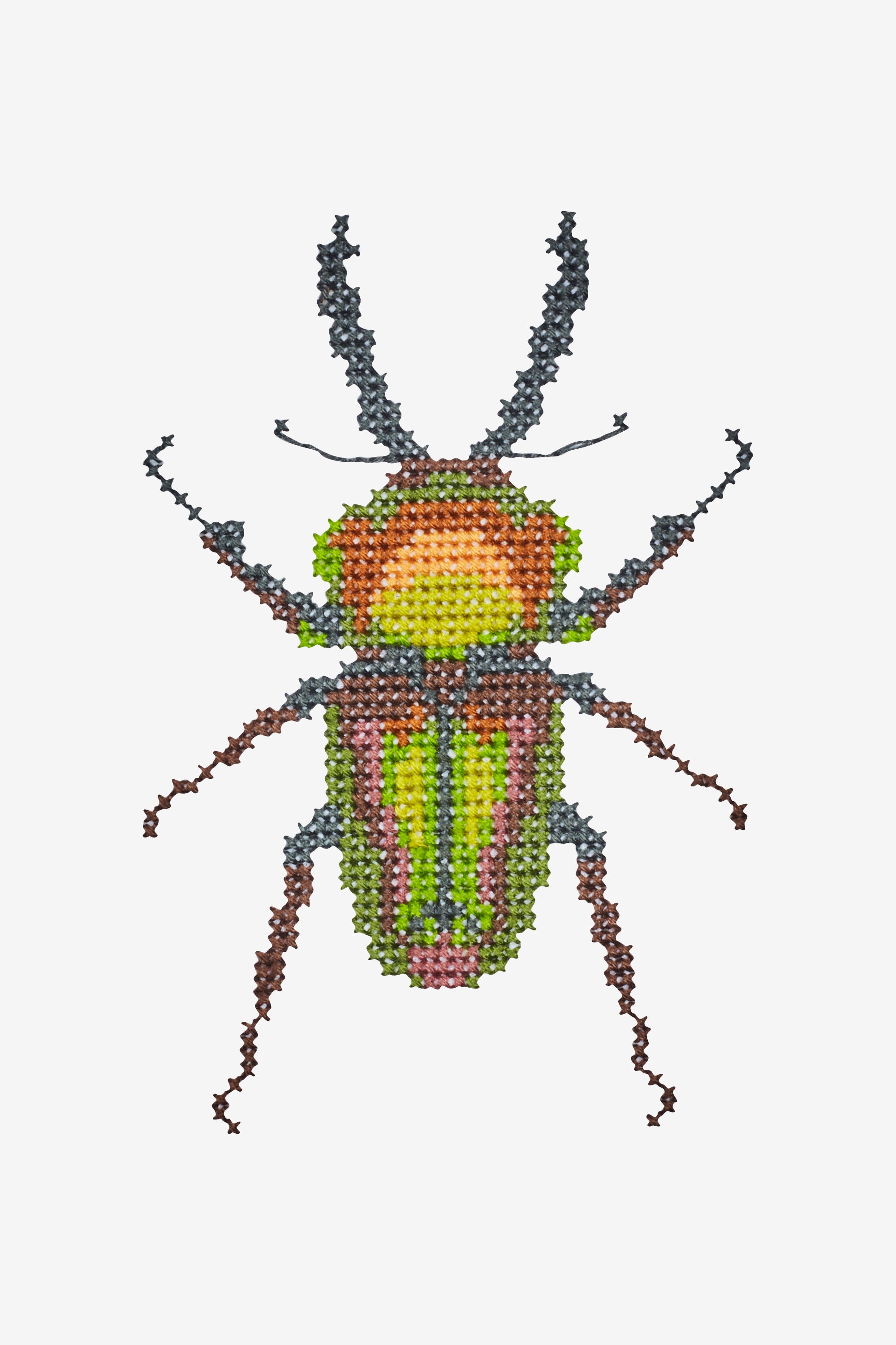 Beetle in DMC - PAT0387 - Downloadable PDF
