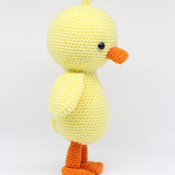 Quigley the Duck
