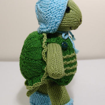 Rainy Day Turtle