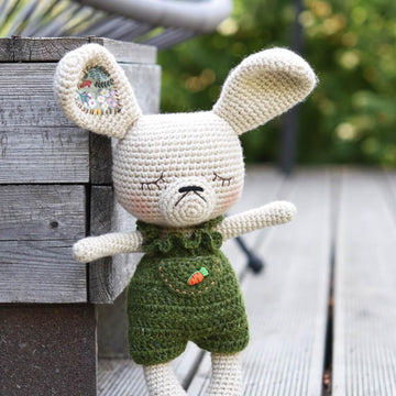 Carrot-pants Bunny