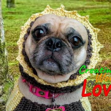 Sunflower Dog Sweater Costume