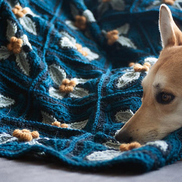 Azure Blanket