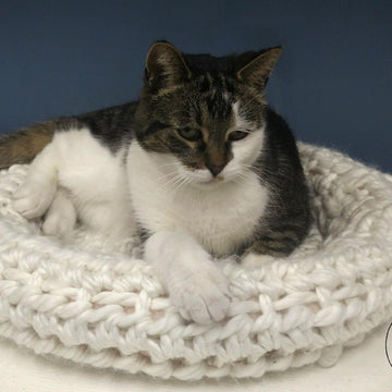 Hibernation Pad Pet Bed