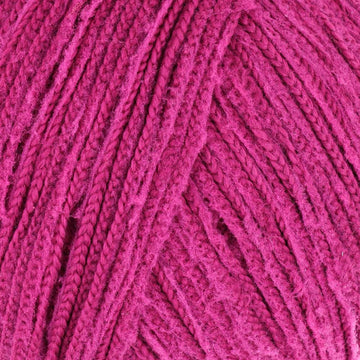 Magenta Rose (07)