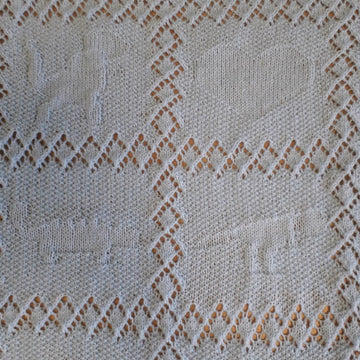 Dinosaur baby shawl