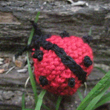 Ladybird