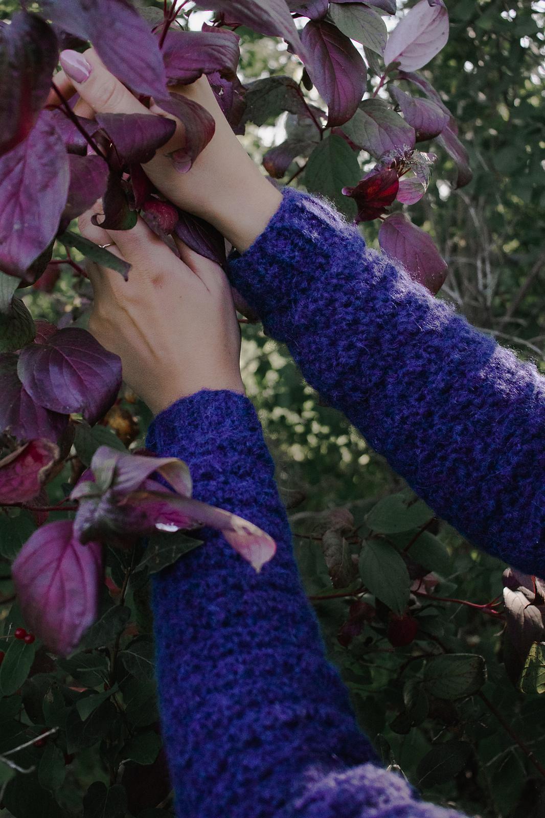 Rosebud Raglan