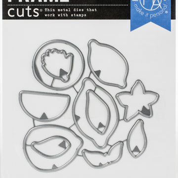 Hero Arts Frame Cut Dies - Zest Wishes