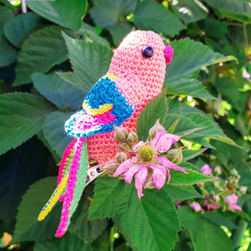 Amazona Parrot
